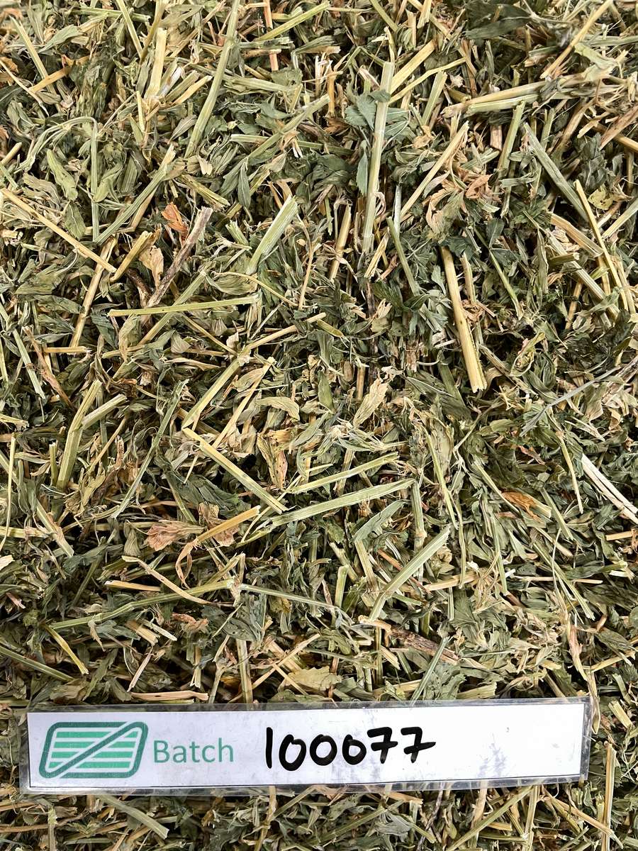 Batch 4990788000220473001 Image