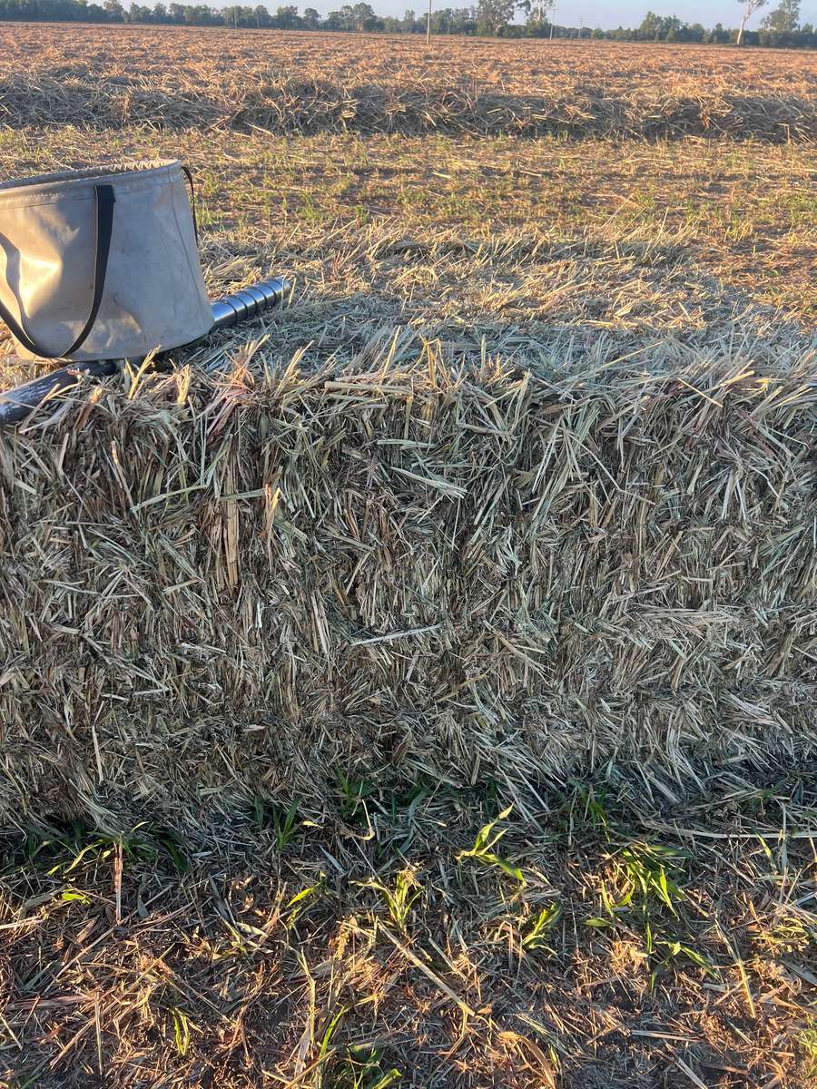 Batch 4990788000220292001 Image