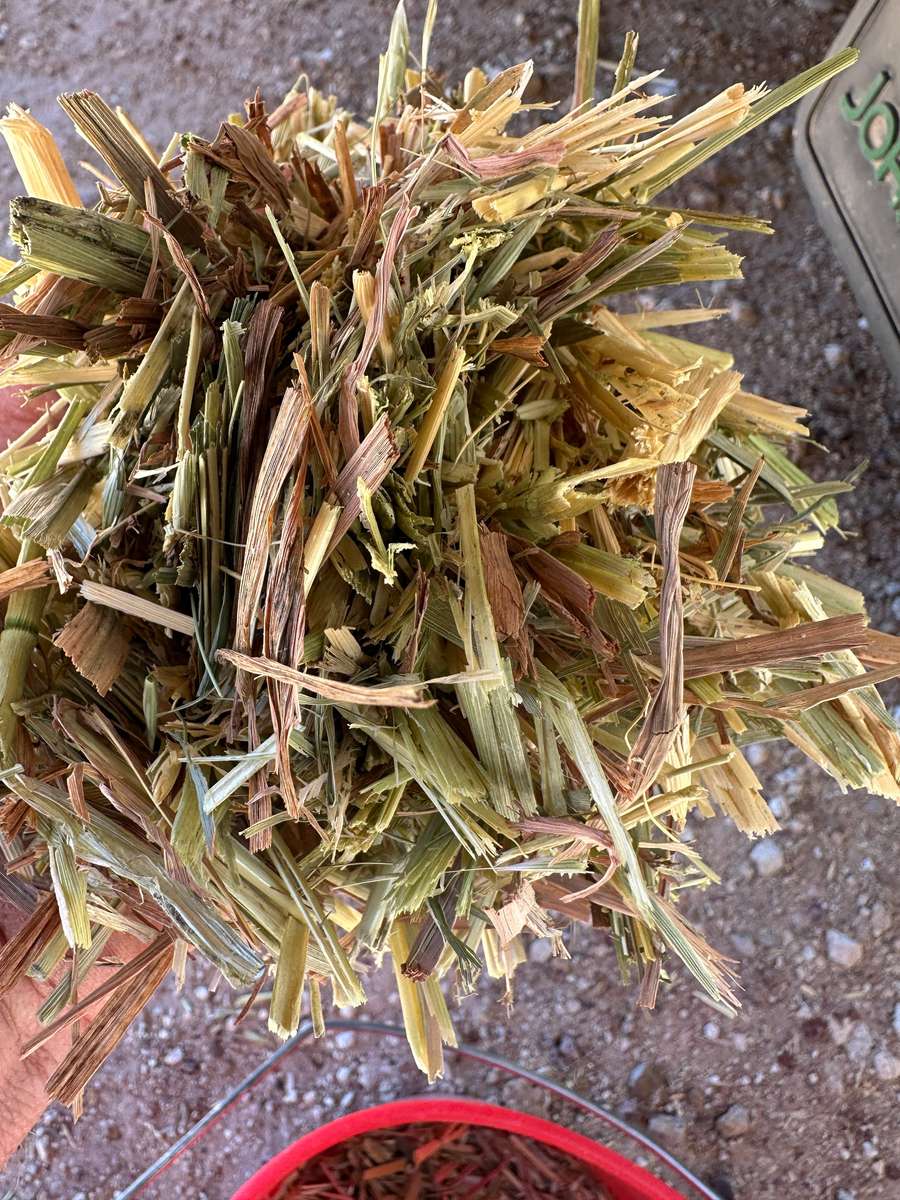 Batch 4990788000220618017 Image