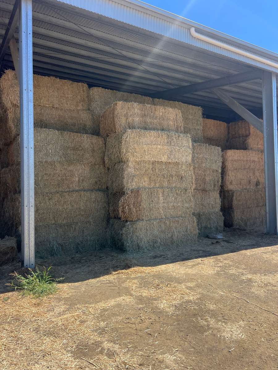 Batch 4990788000220278049 Image