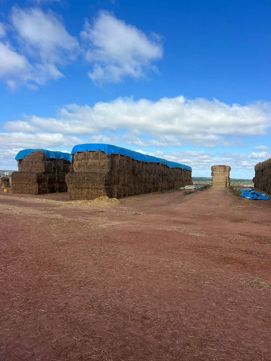 Batch 4990788000220409001 Image