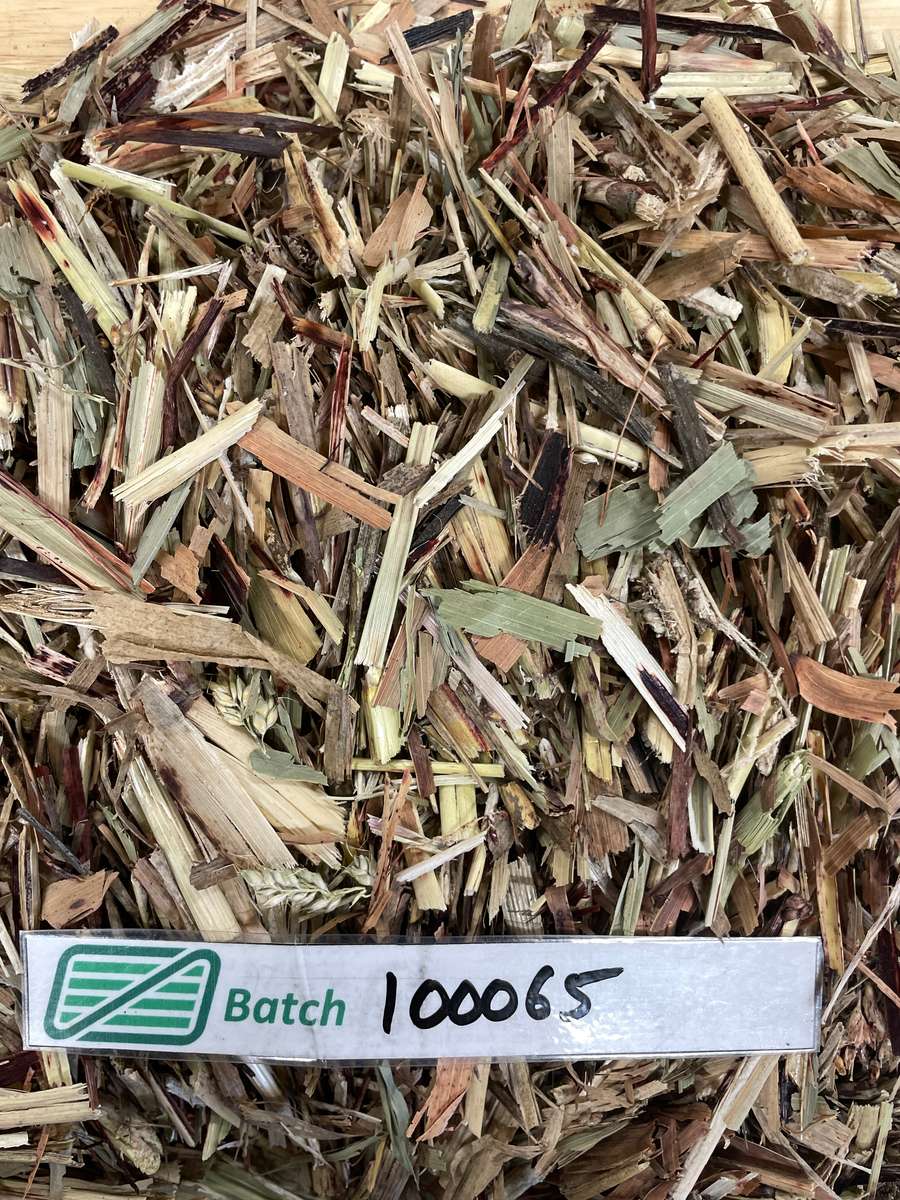 Batch 4990788000220257001 Image