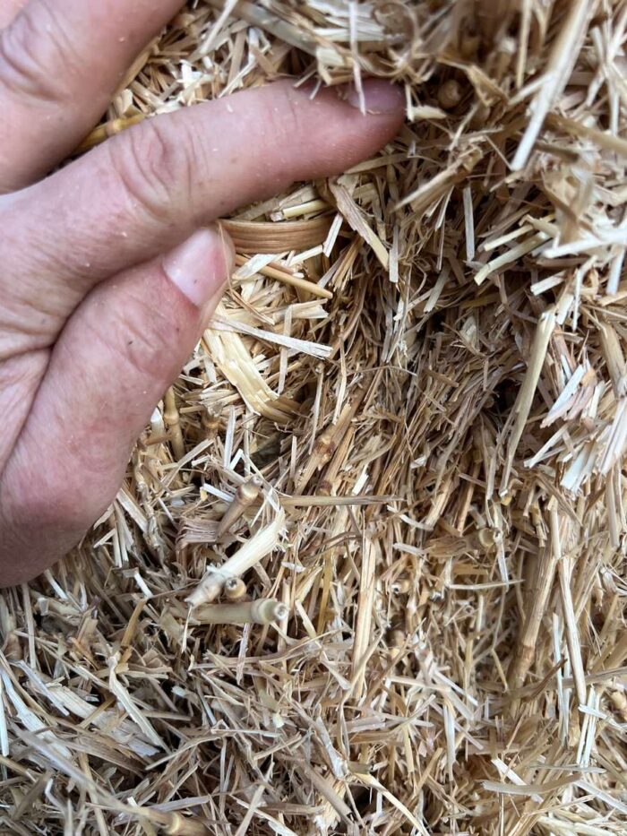 Batch 100127 Cereal Straw – Fodder Link Website