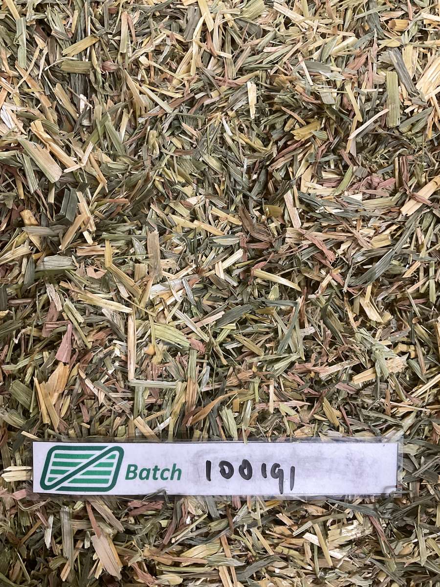 Batch 4990788000224189001 Image