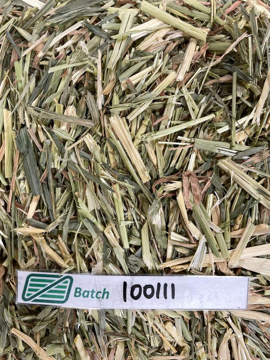 Batch 4990788000221934001 Image