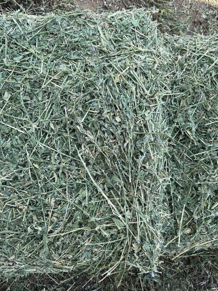 Batch 100054 Protein Hay – Fodder Link Website