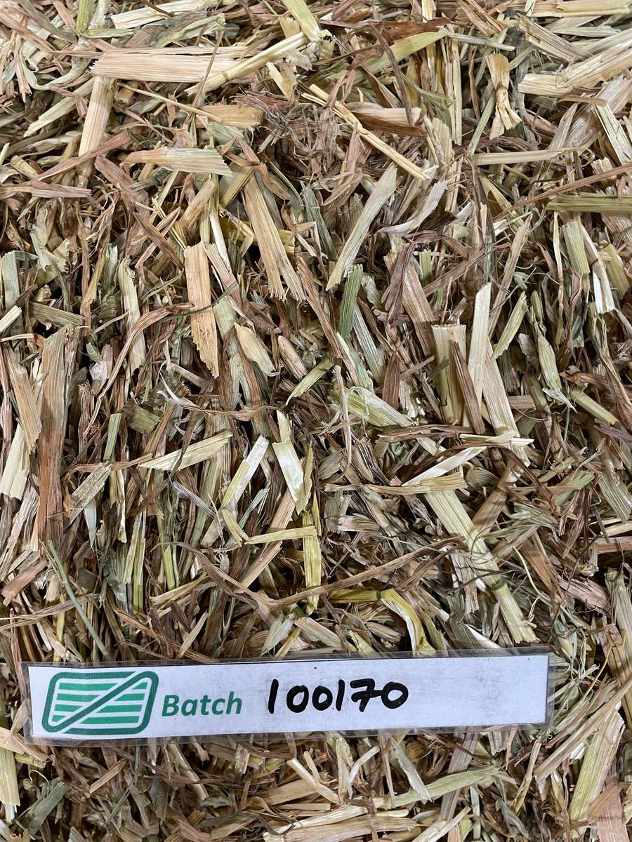 Batch 4990788000223361001 Image