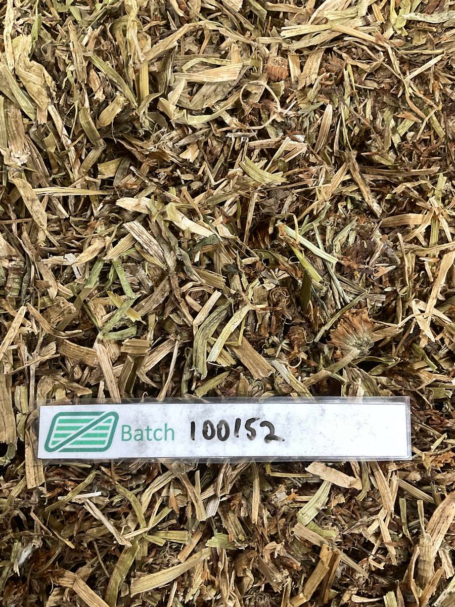 Batch 4990788000223148001 Image