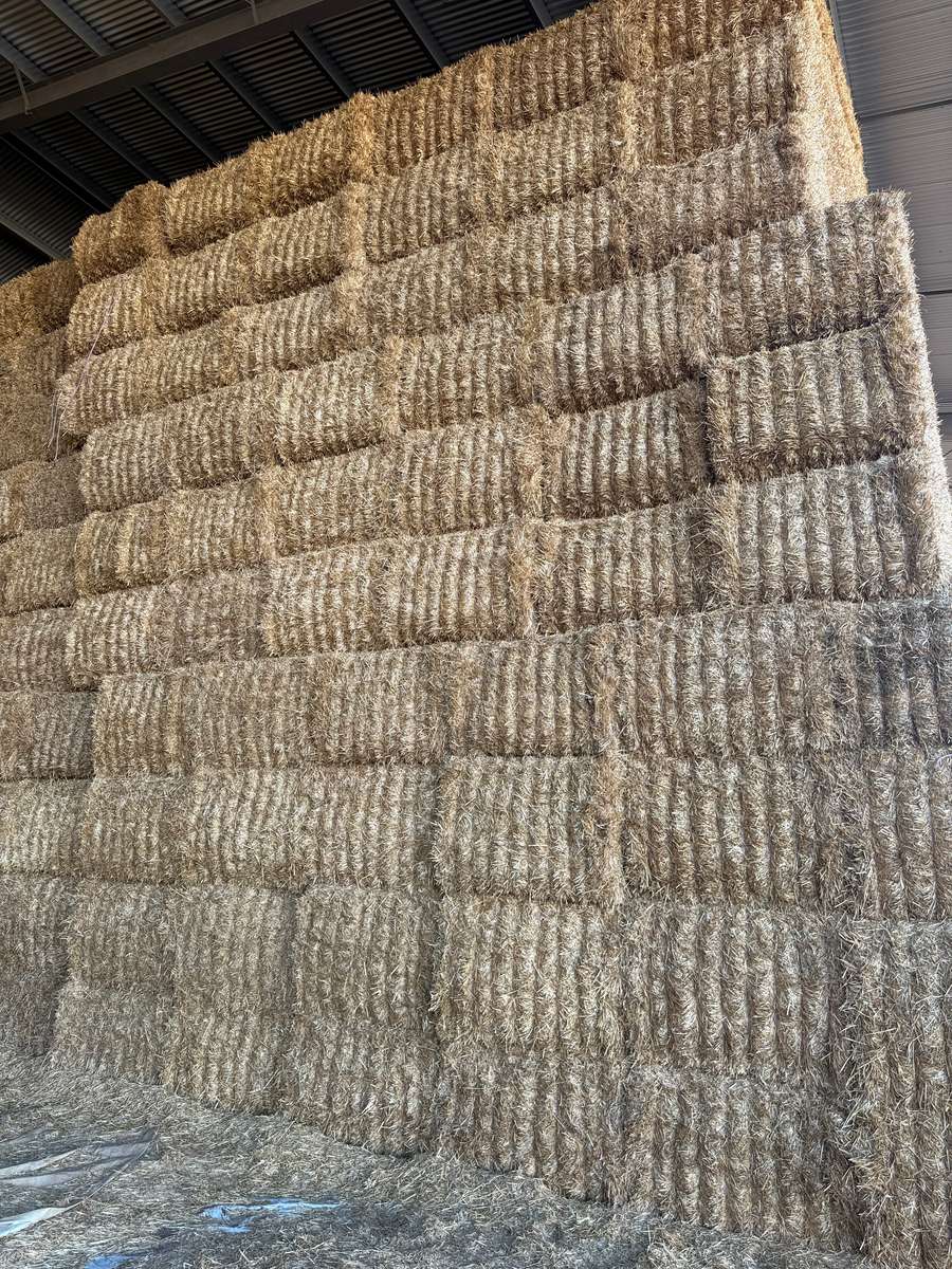 Batch 4990788000222877018 Image