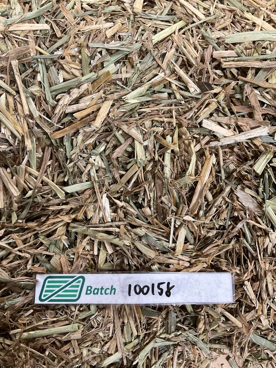 Batch 4990788000223179001 Image