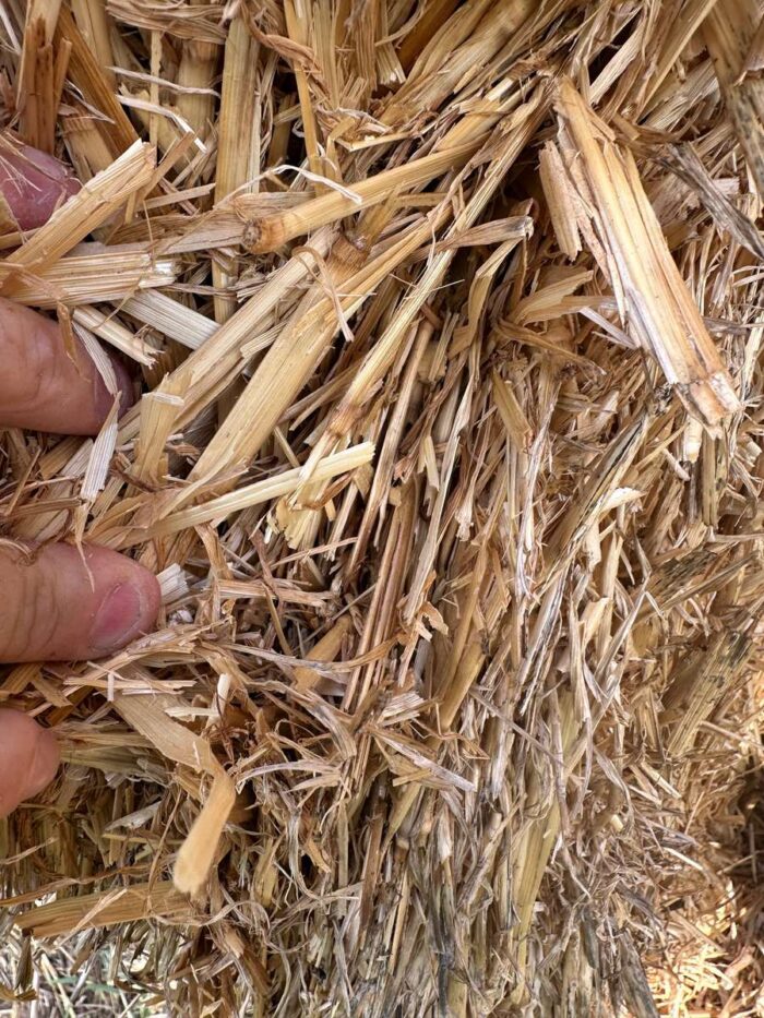 Batch 100150 Cereal Straw – Fodder Link Website