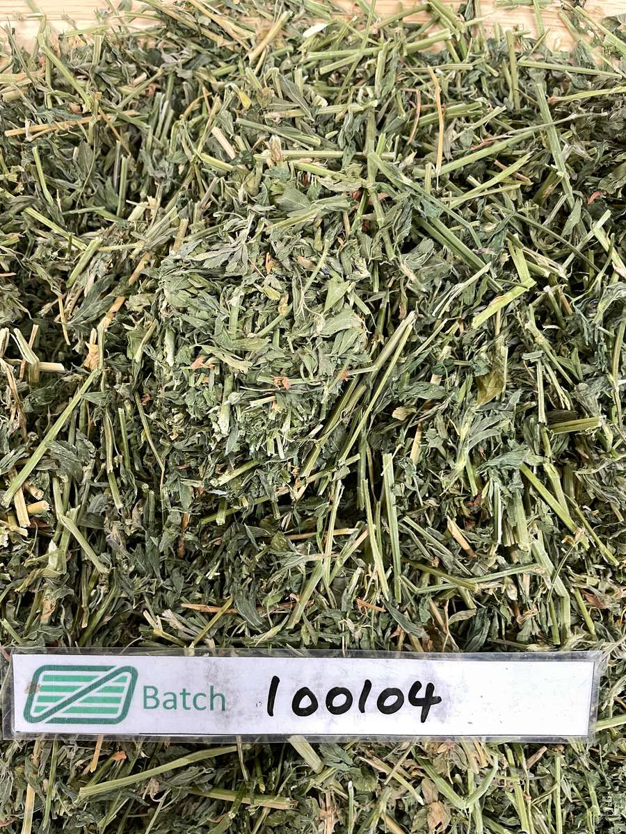 Batch 4990788000221688019 Image