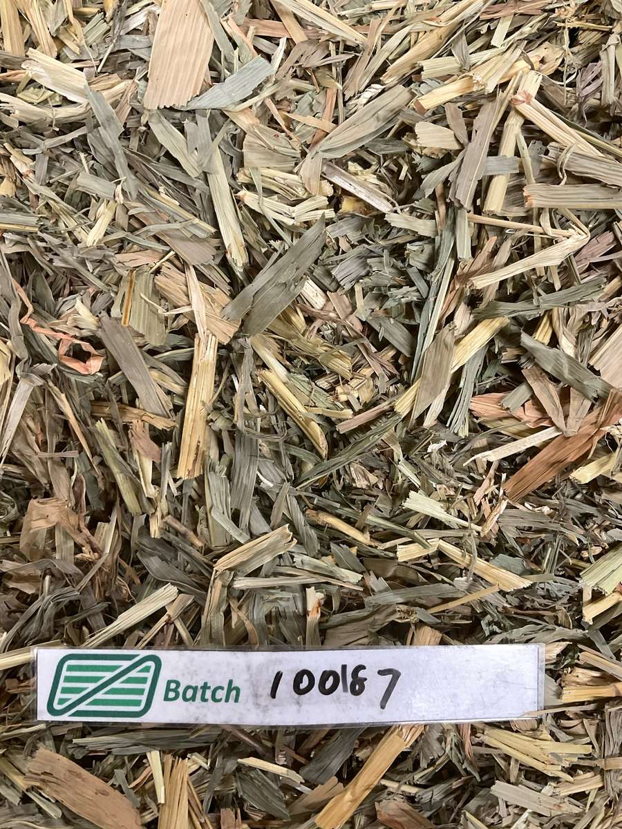 Batch 4990788000223970001 Image