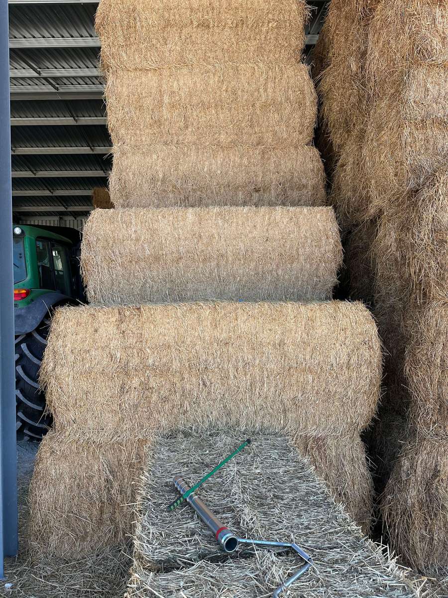 Batch 4990788000222865001 Image