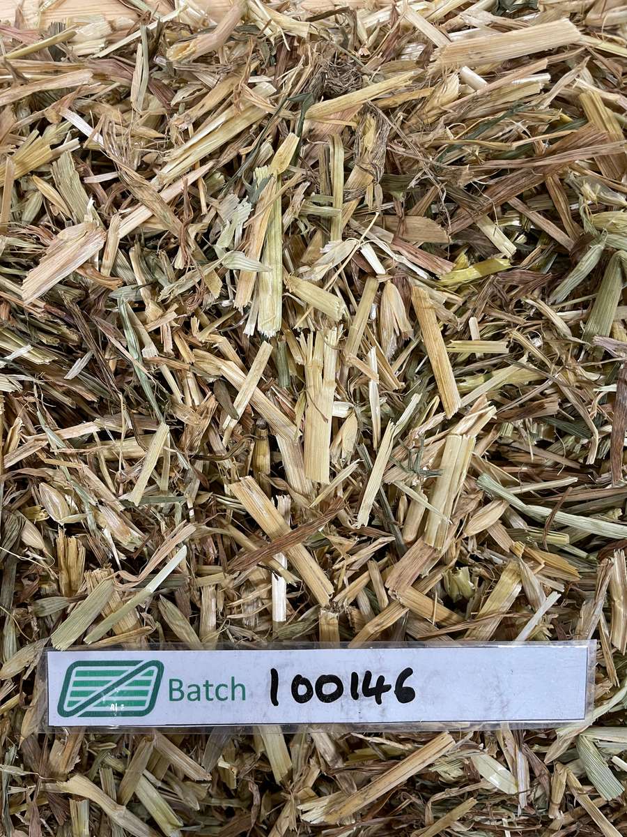 Batch 4990788000223034003 Image