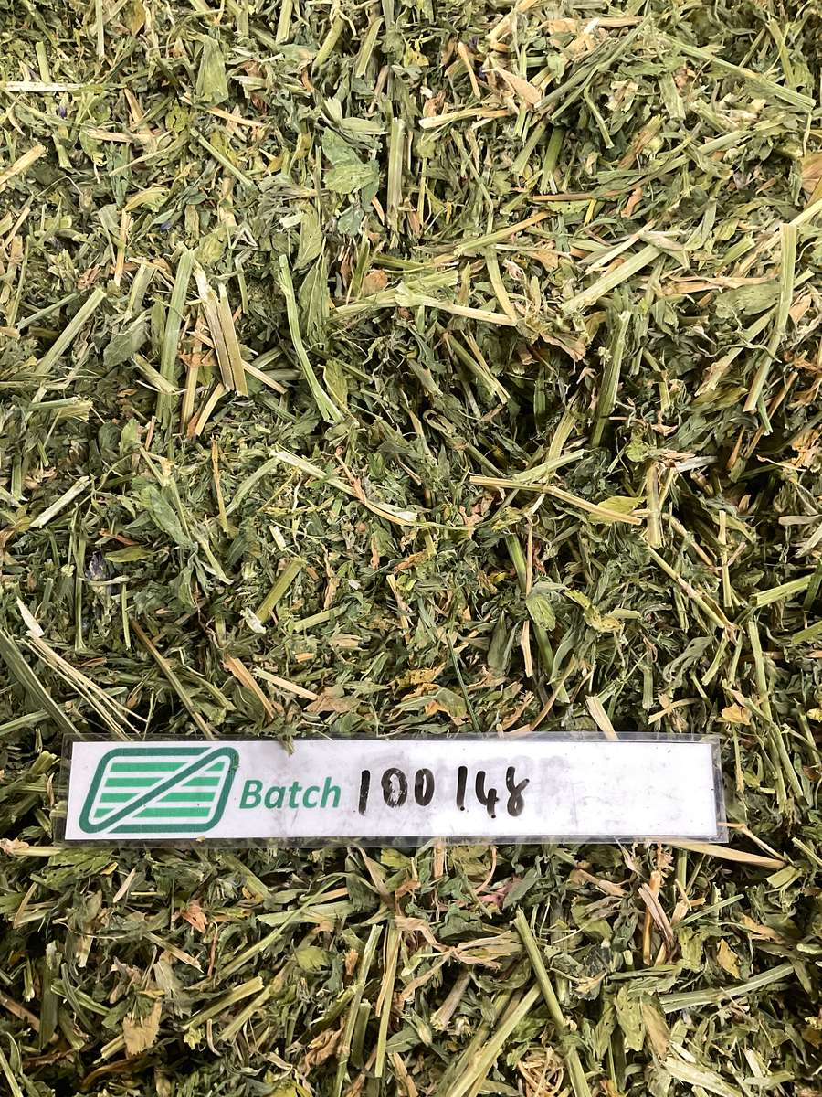 Batch 4990788000222904010 Image