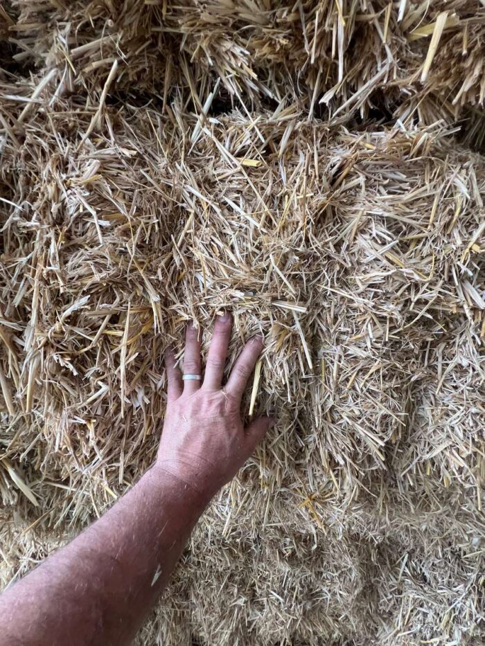 Batch 100123 Cereal Straw – Fodder Link Website