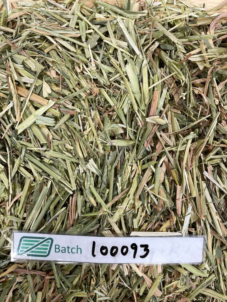 Batch 4990788000221512078 Image