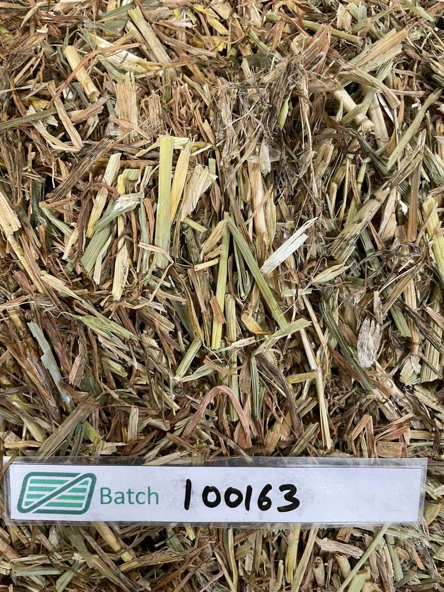 Batch 4990788000223294001 Image