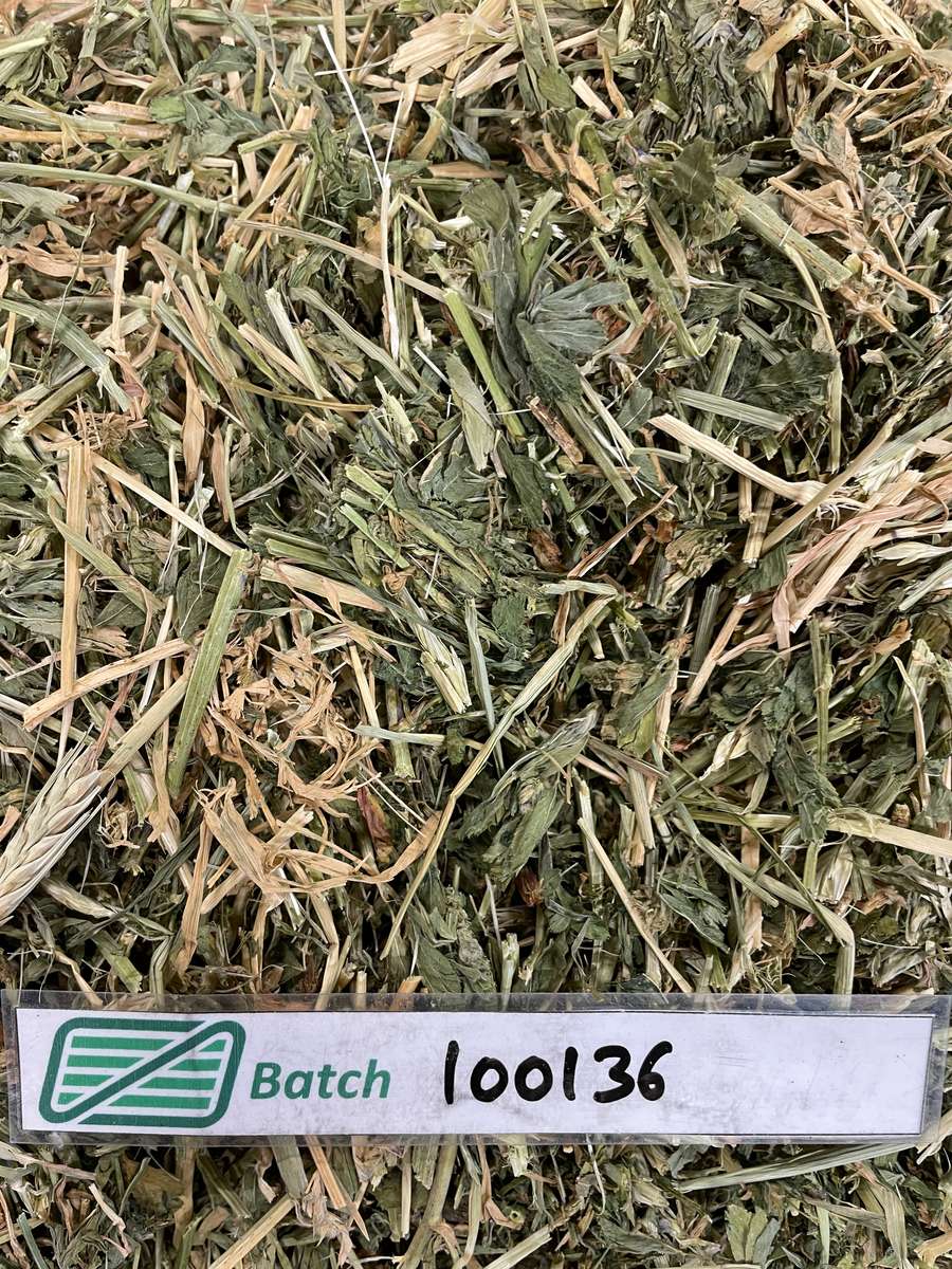 Batch 4990788000222867035 Image