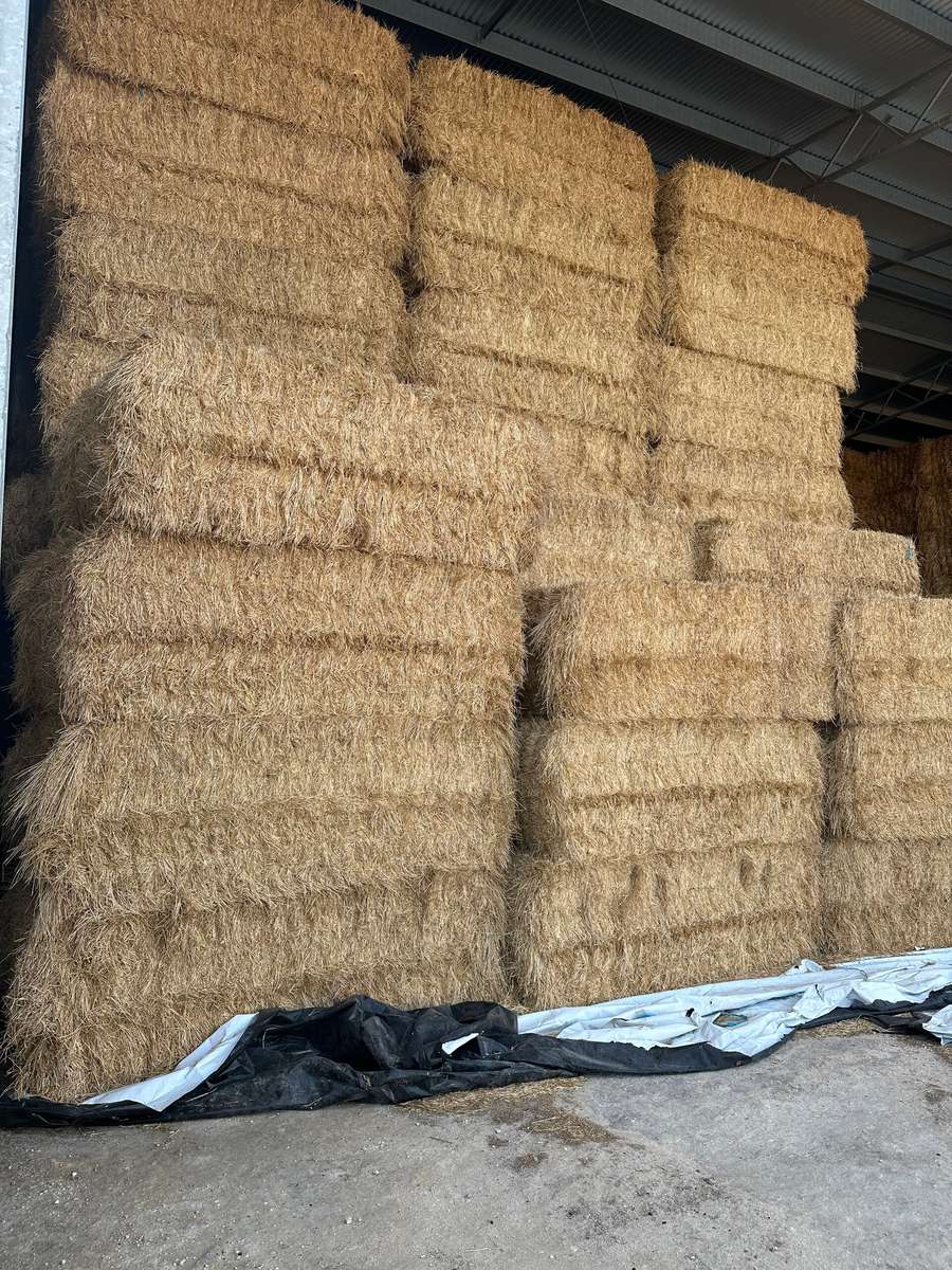 Batch 4990788000222867052 Image