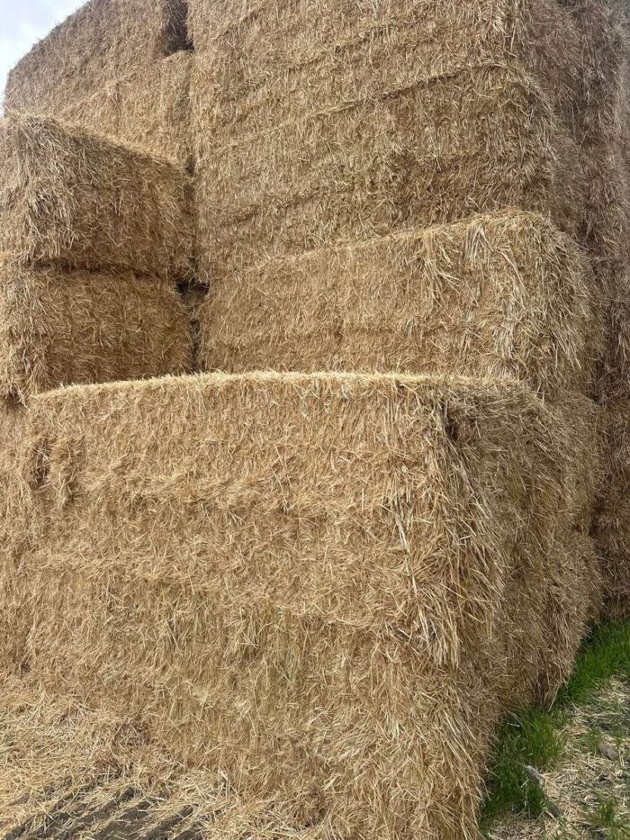 Batch 100202 Cereal Straw – Fodder Link Website