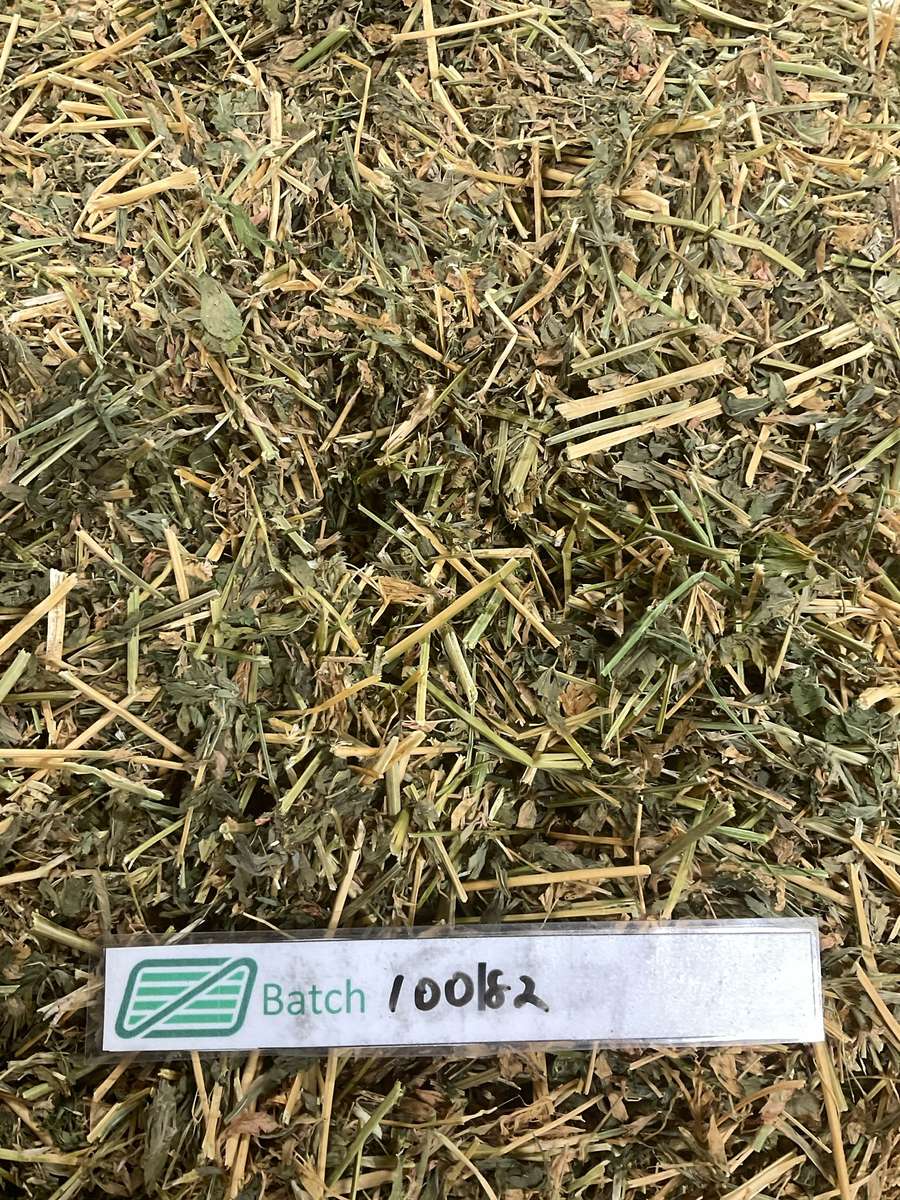 Batch 4990788000223854008 Image