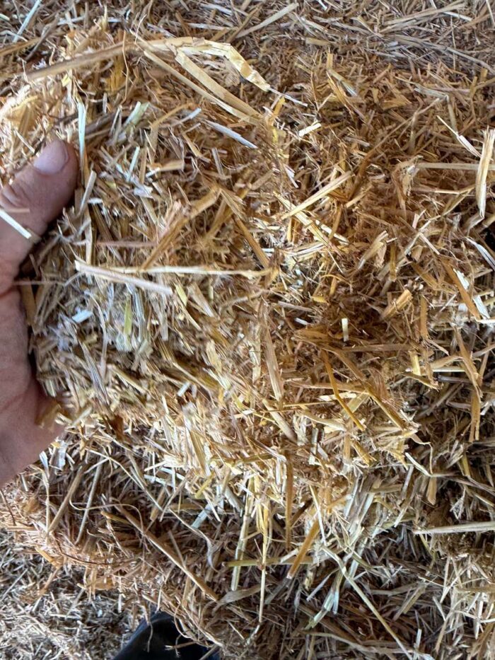 Batch 100137 Cereal Straw – Fodder Link Website