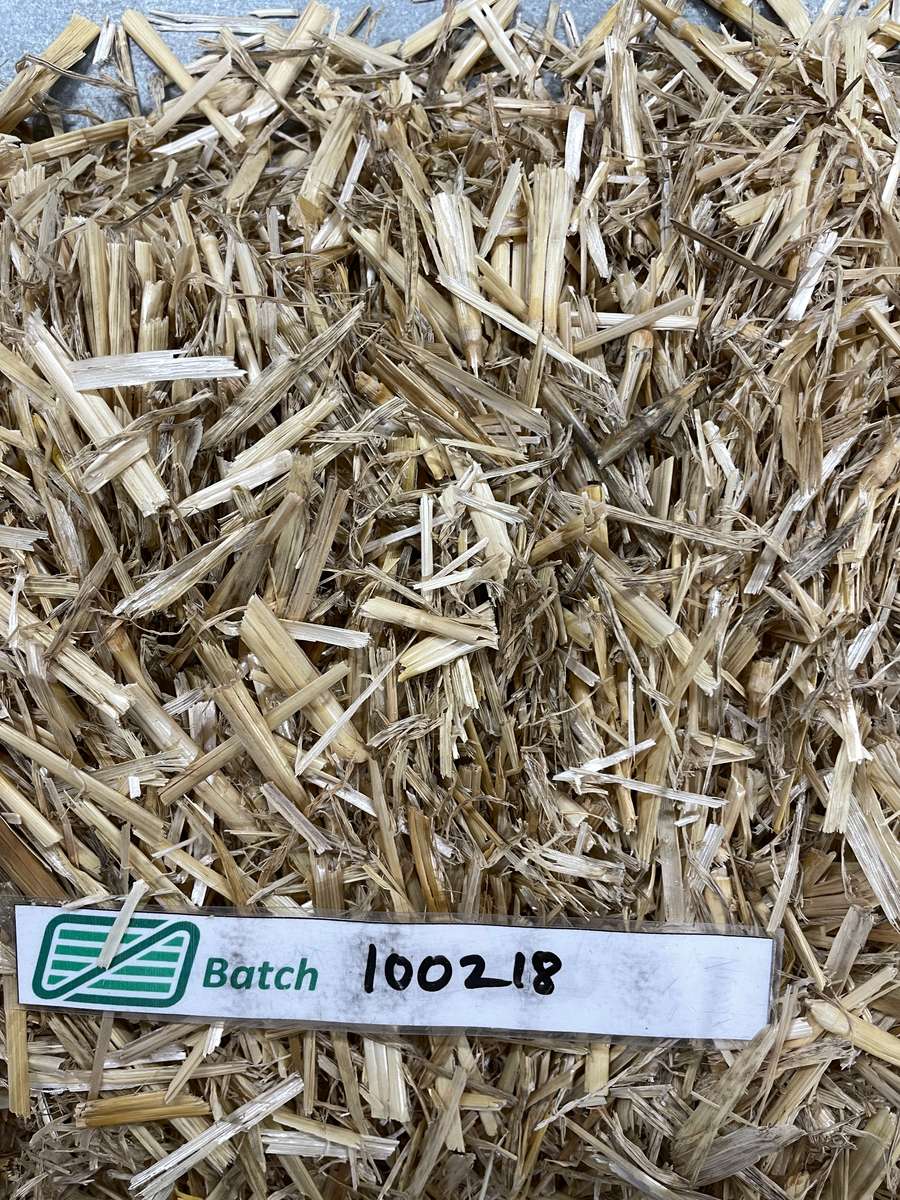 Batch 4990788000224372002 Image
