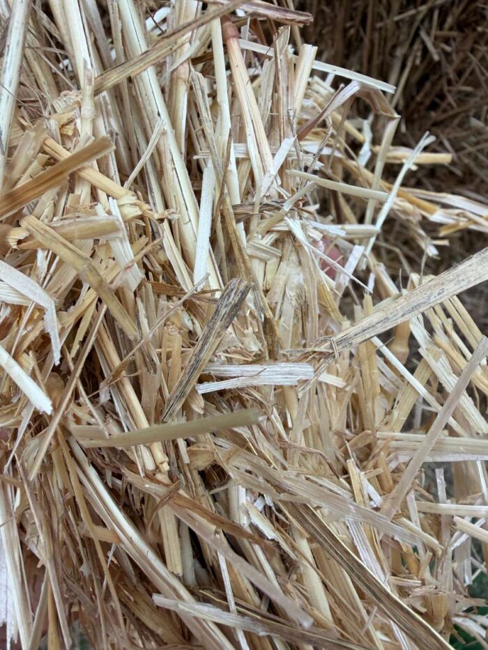 Batch 100204 Cereal Straw – Fodder Link Website