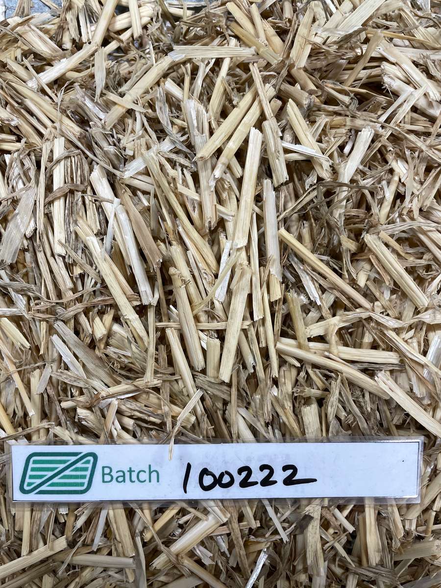 Batch 4990788000224388001 Image