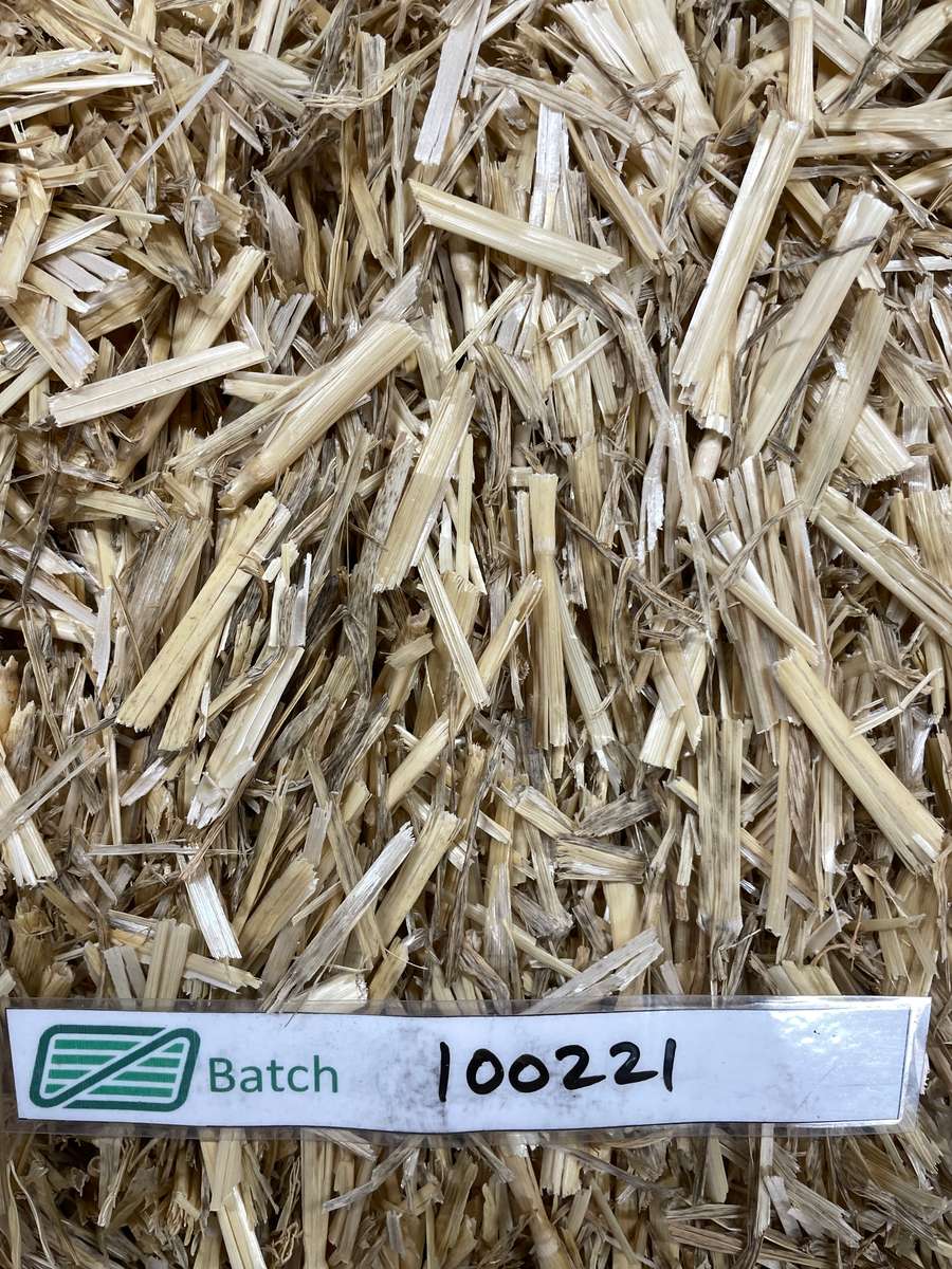 Batch 4990788000224312014 Image