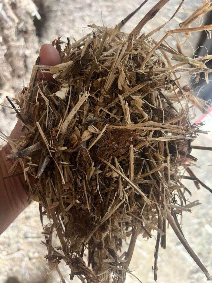 Batch 100237 Other Straw – Fodder Link Website