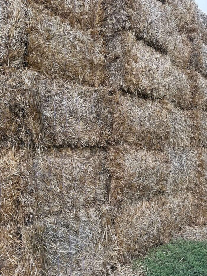Batch 100195 Cereal Straw – Fodder Link Website
