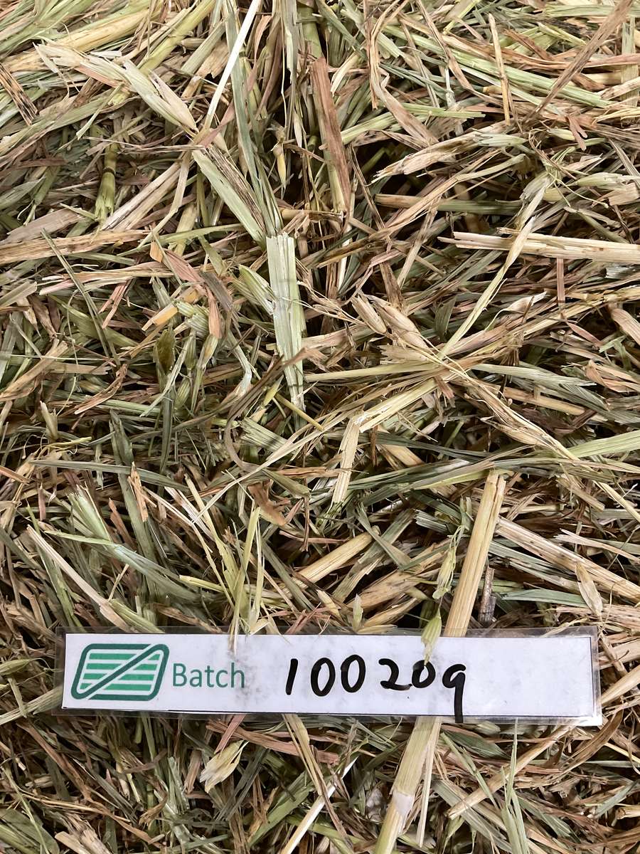 Batch 4990788000224341001 Image