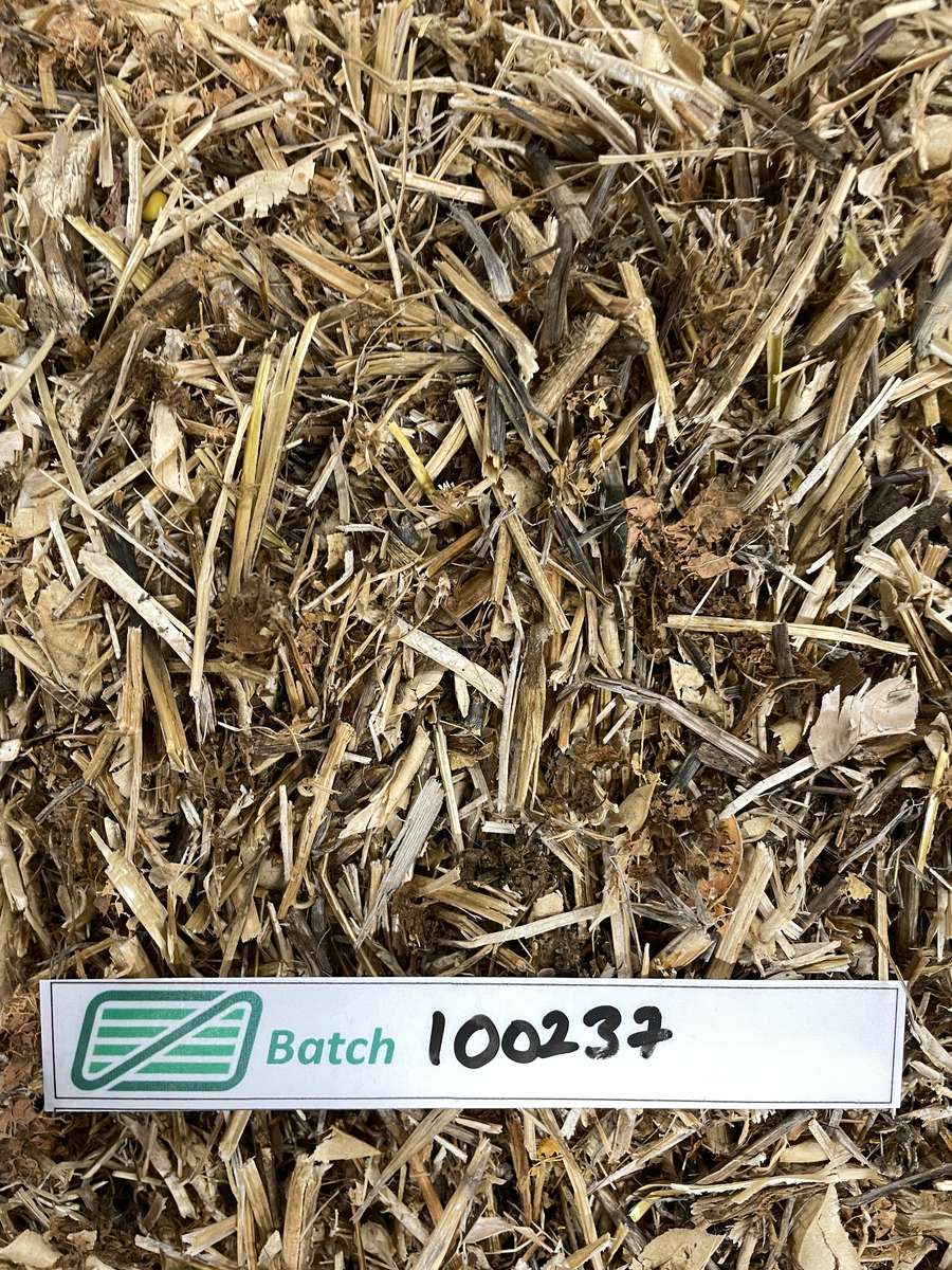 Batch 4990788000226379001 Image