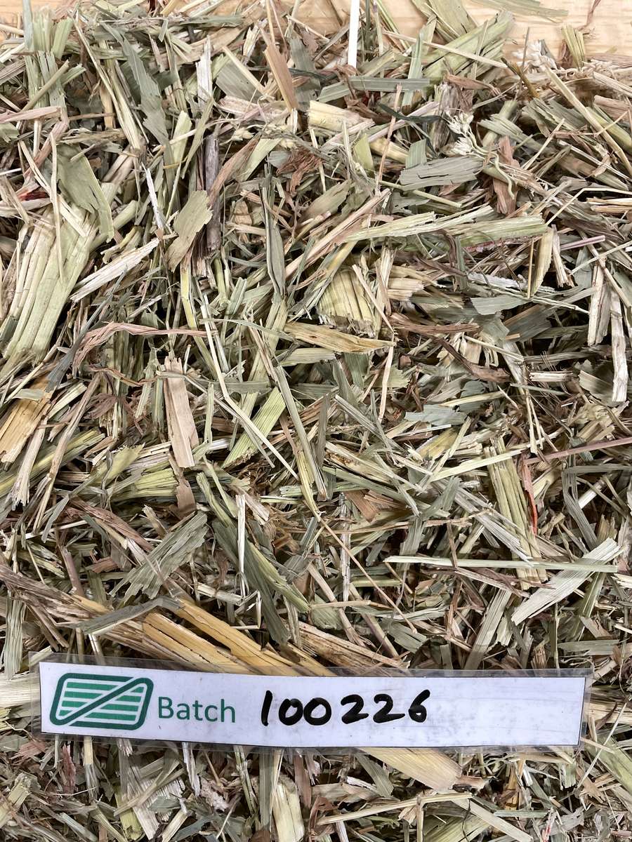 Batch 4990788000224515008 Image
