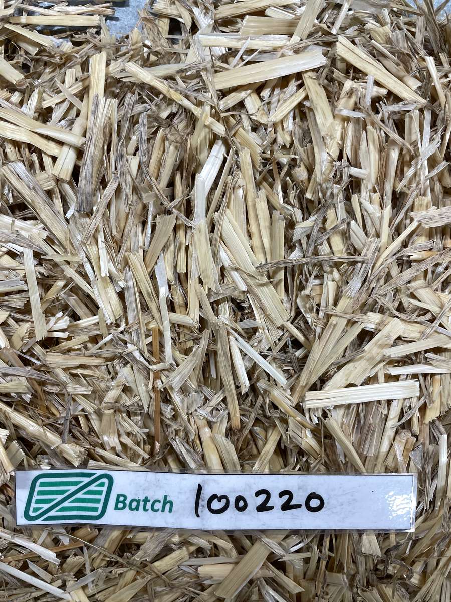 Batch 4990788000224340016 Image
