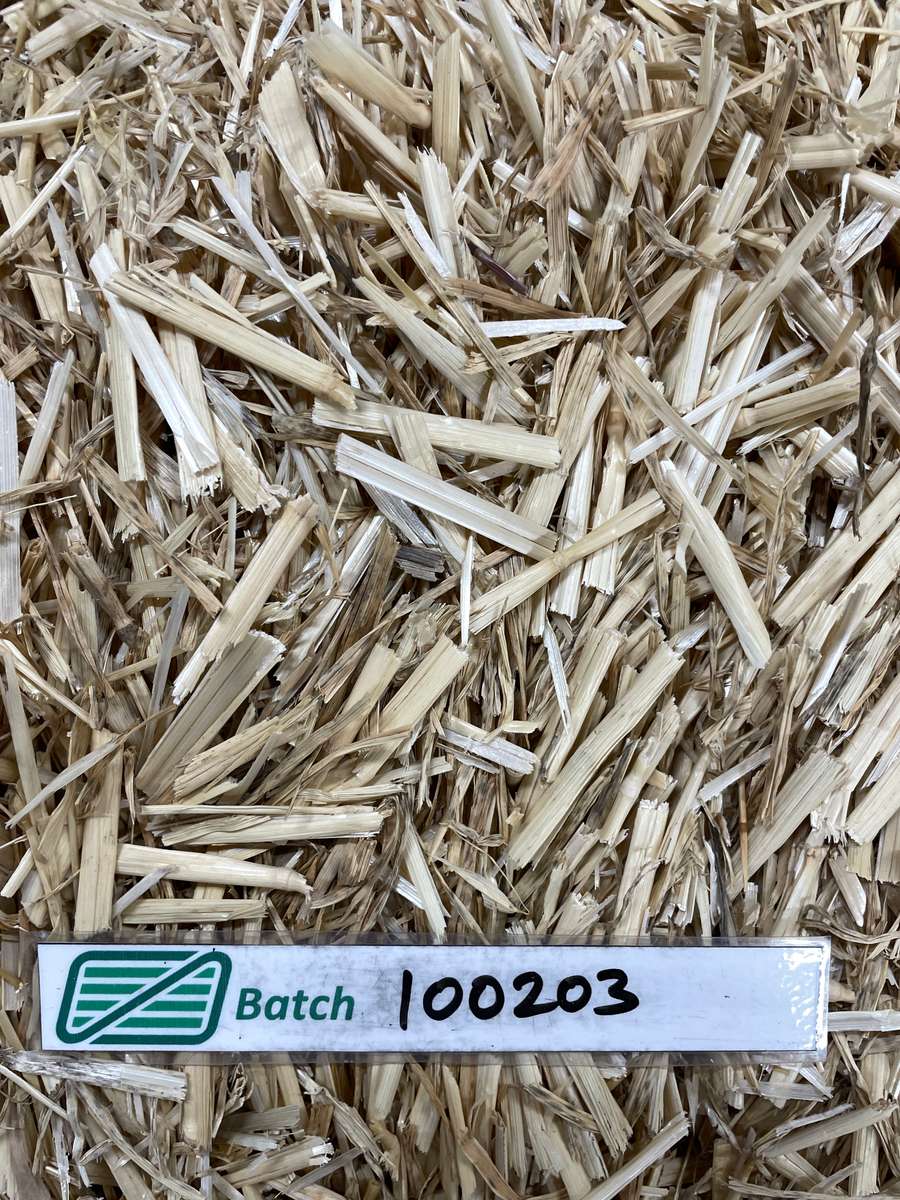 Batch 4990788000224209004 Image