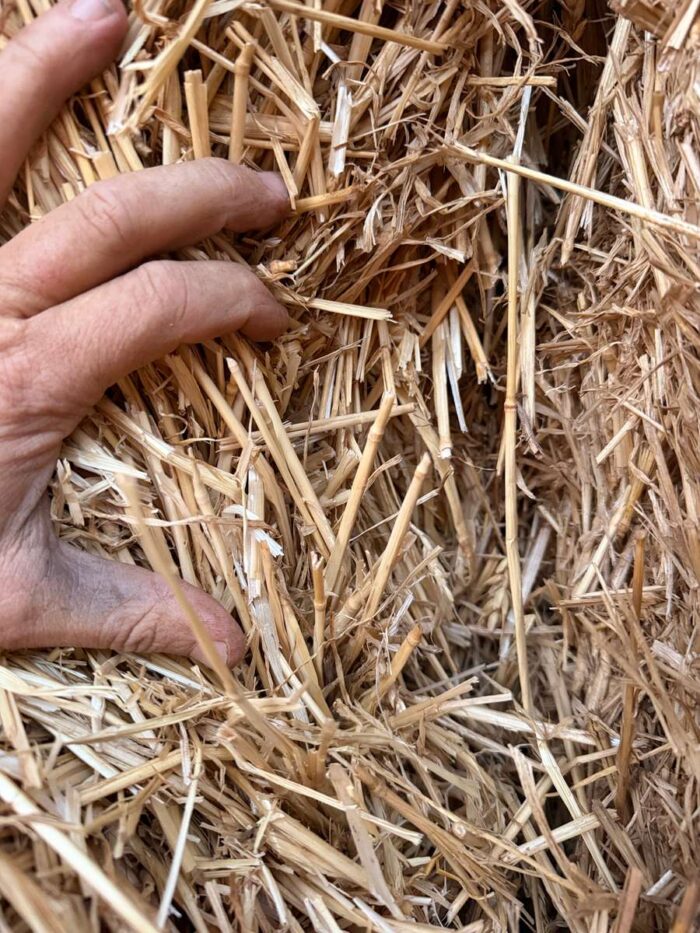 Batch 100222 Cereal Straw – Fodder Link Website