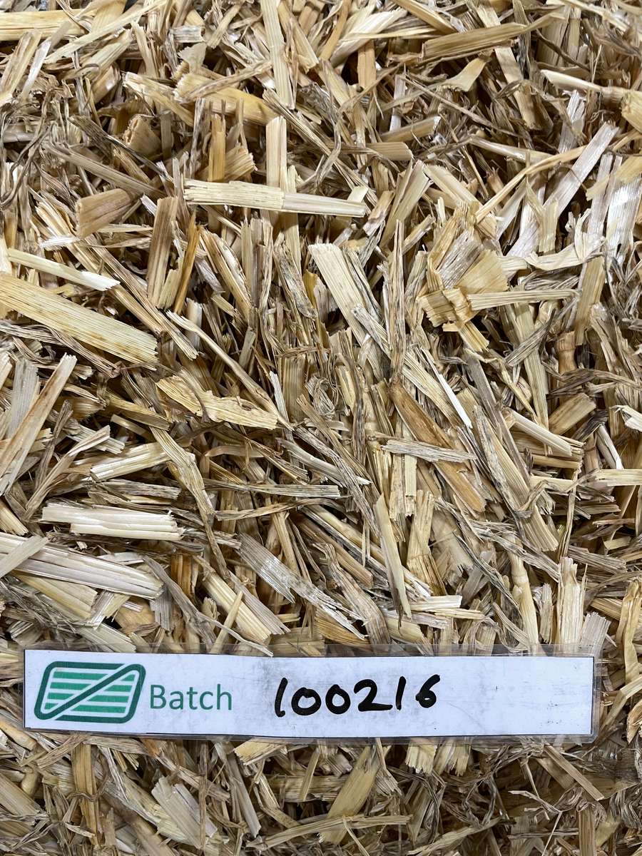 Batch 4990788000224358018 Image
