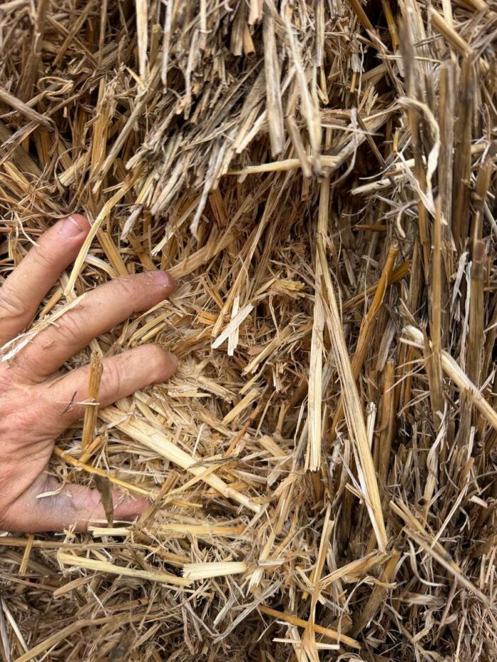 Batch 100218 Cereal Straw – Fodder Link Website