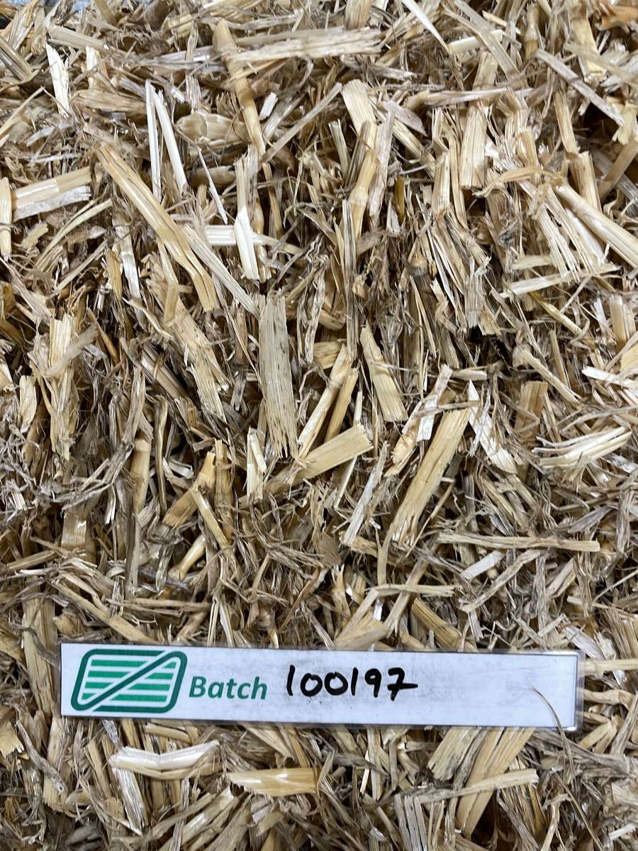 Batch 4990788000224215001 Image