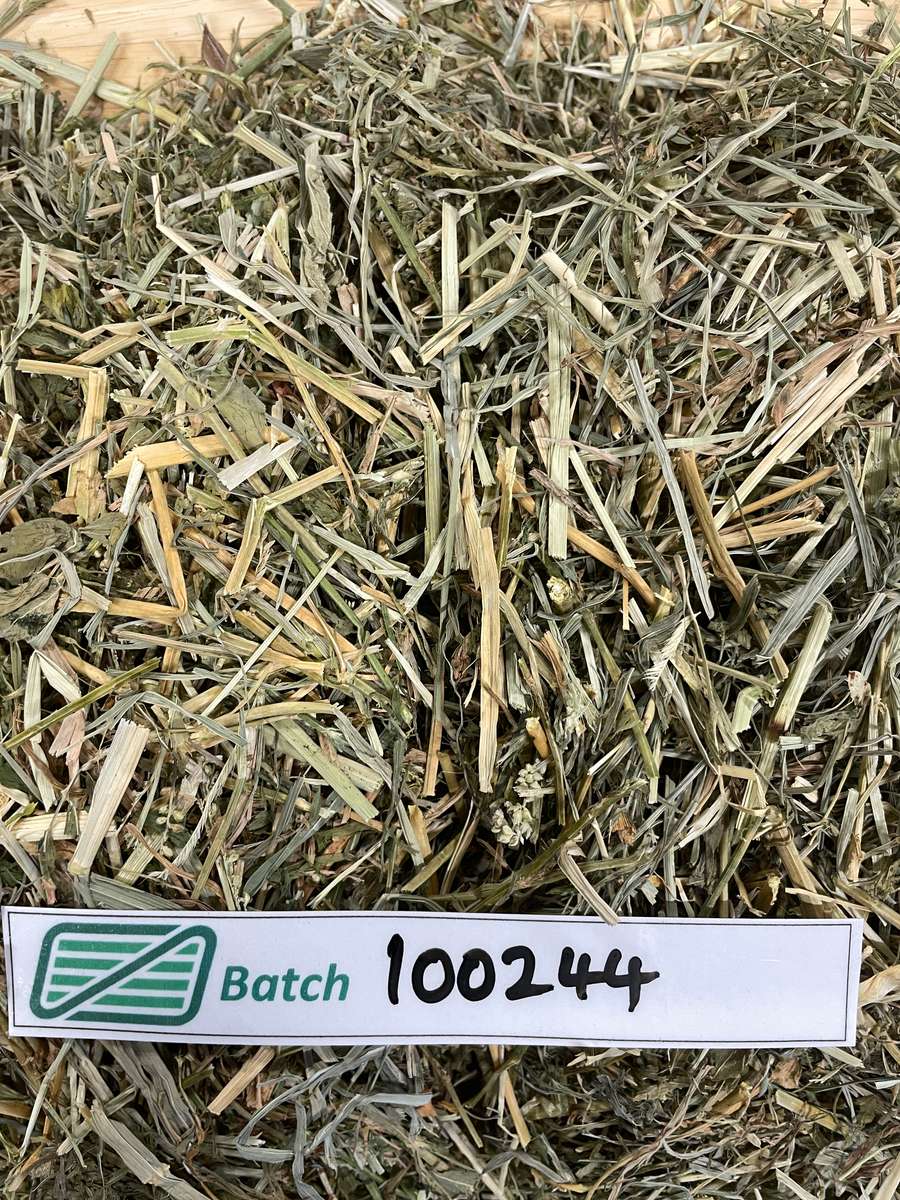 Batch 4990788000227213001 Image
