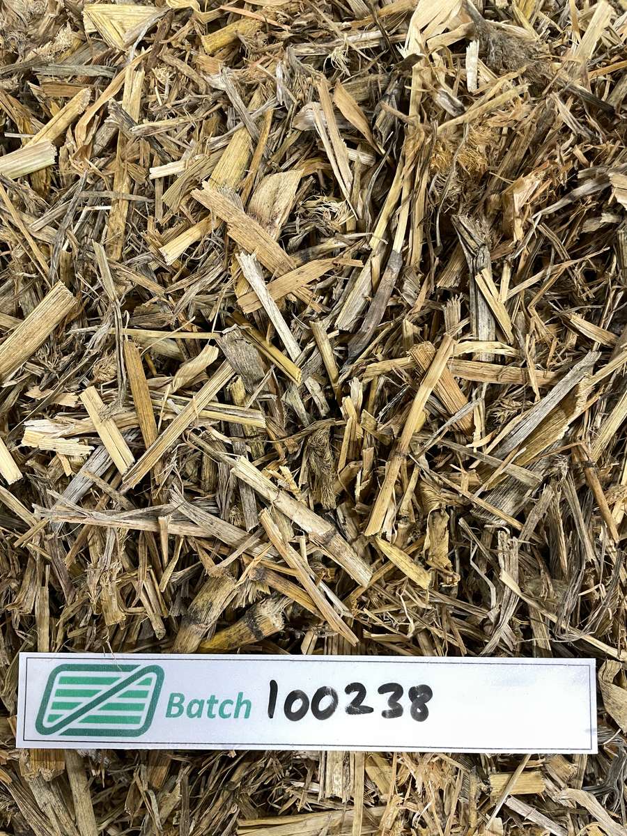 Batch 4990788000226429001 Image