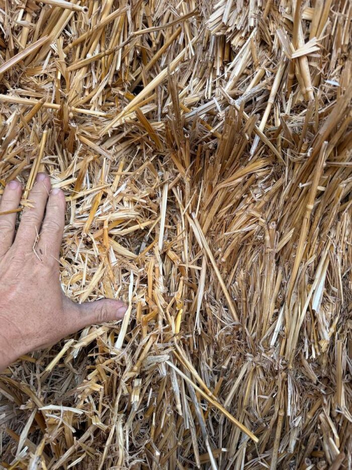 Batch 100199 Cereal Straw – Fodder Link Website