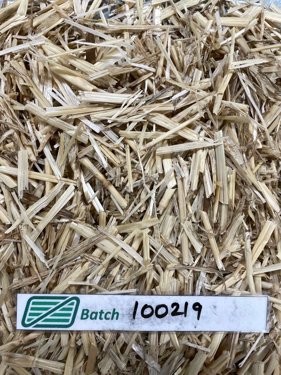 Batch 4990788000224373018 Image