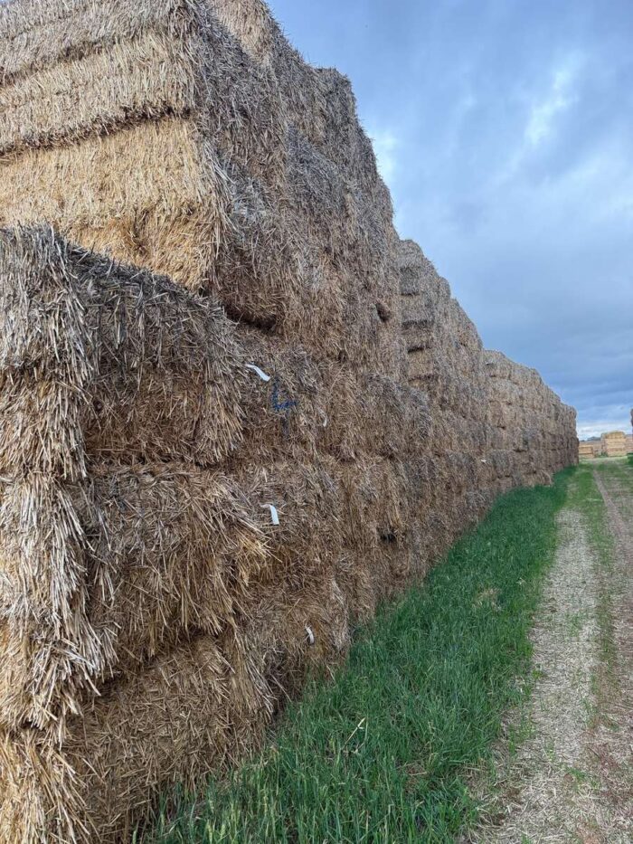 Batch 100216 Cereal Straw – Fodder Link Website