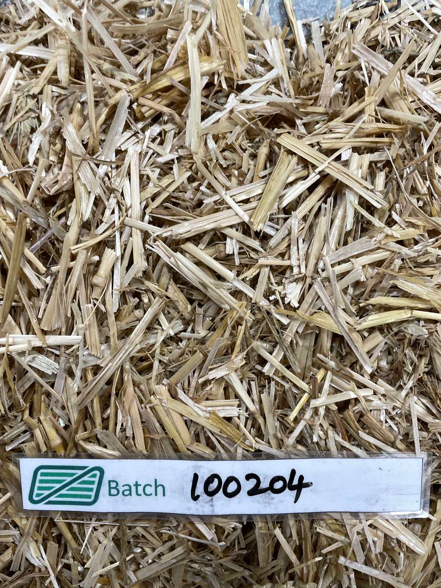Batch 4990788000224186003 Image