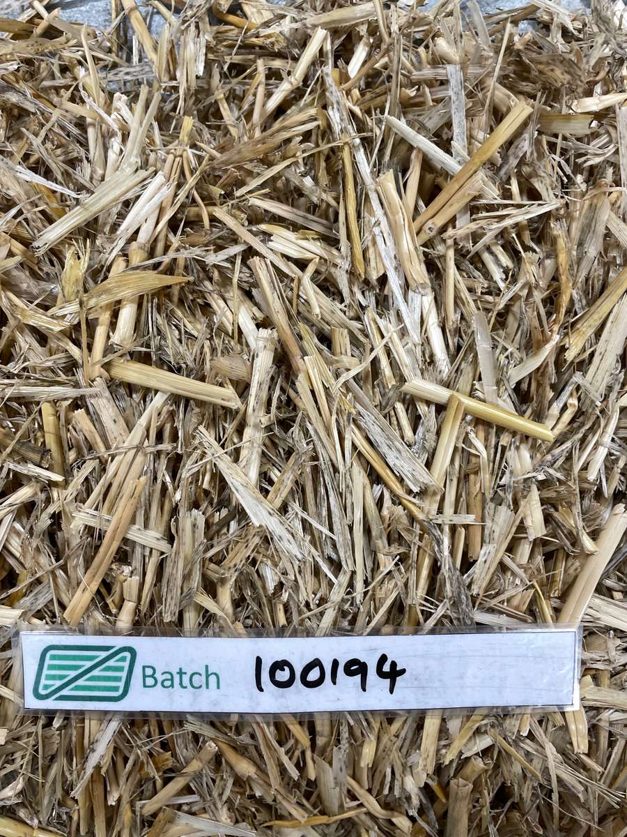 Batch 4990788000224190020 Image